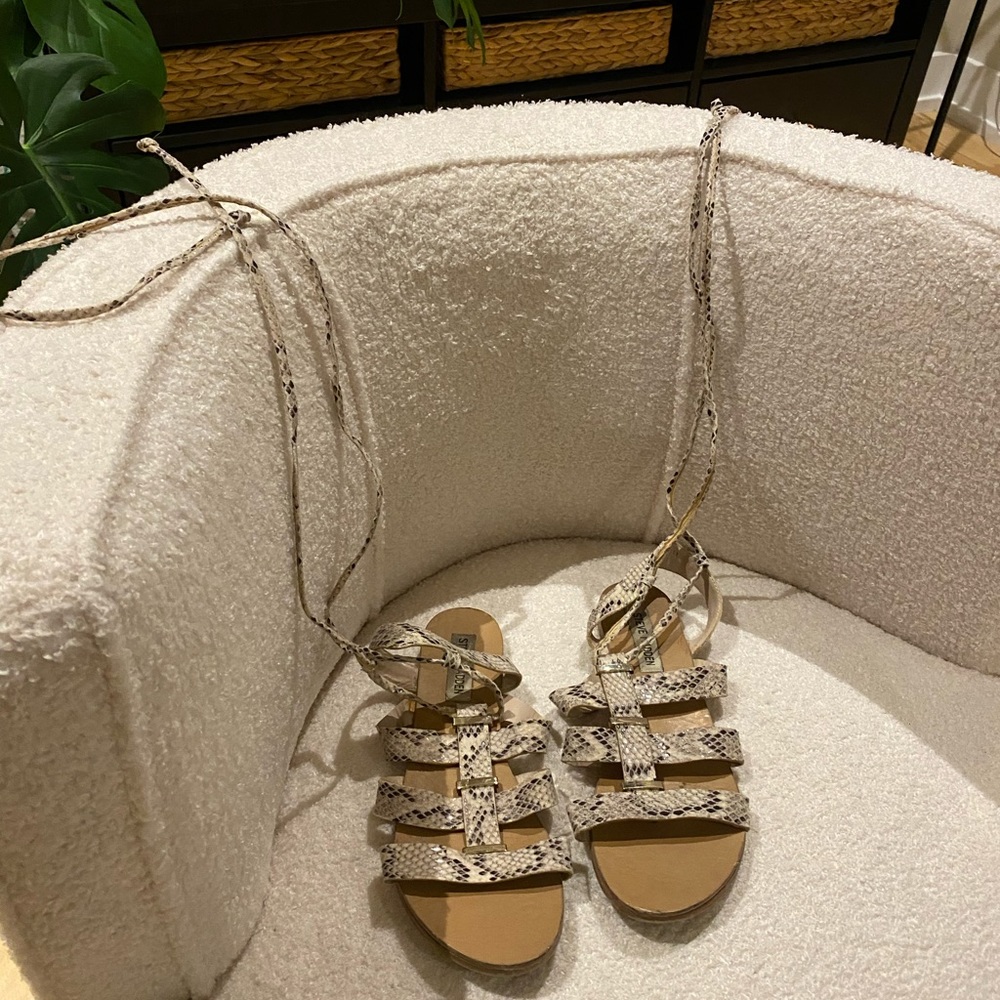 Steve Madden gladiator sandals